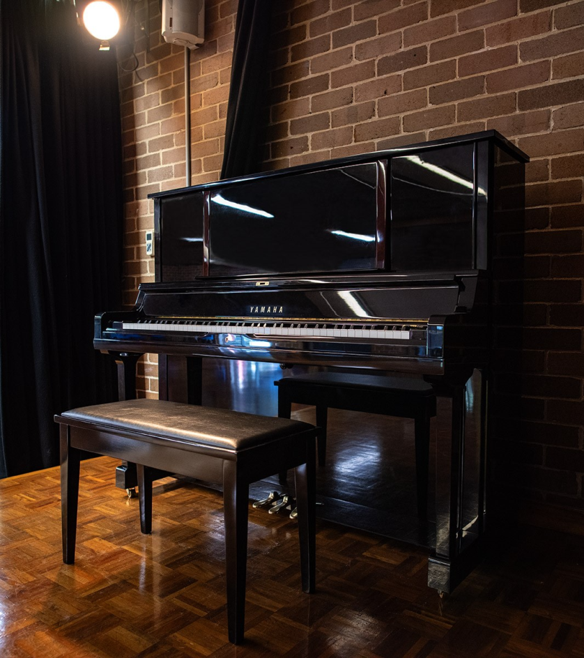 pianoAPS2 copy small.jpg